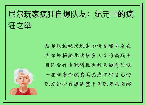 尼尔玩家疯狂自爆队友：纪元中的疯狂之举